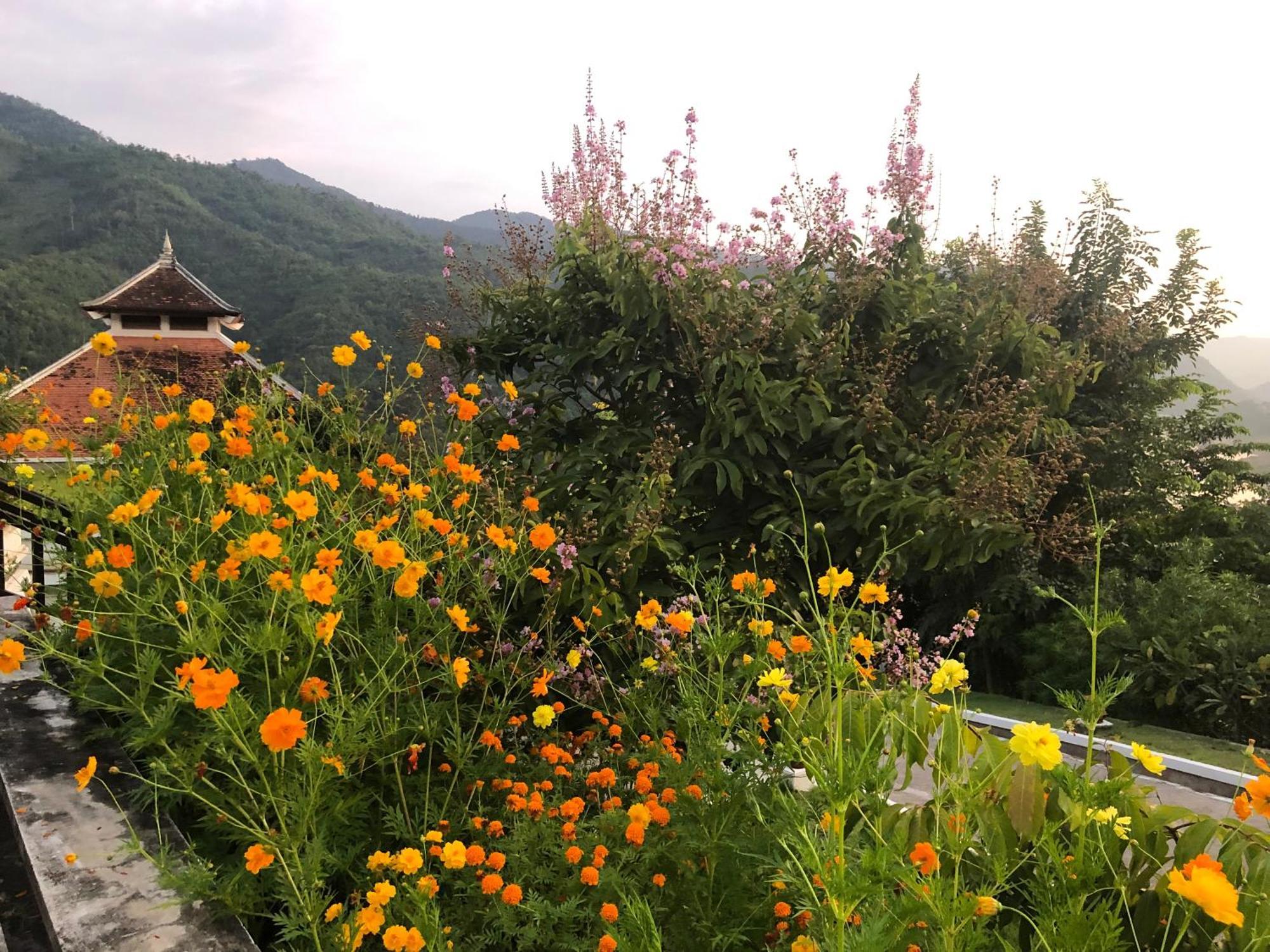 Le Grand Pakbeng Otel Oda fotoğraf